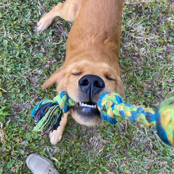 Meet your Posher, Britnee - Picture 6 of 6